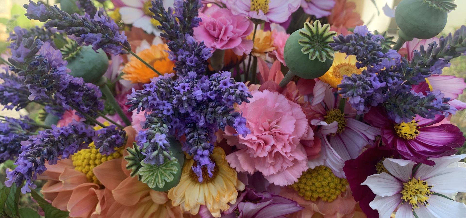 SCOOP Summer Market 2022 Event Visit Jersey